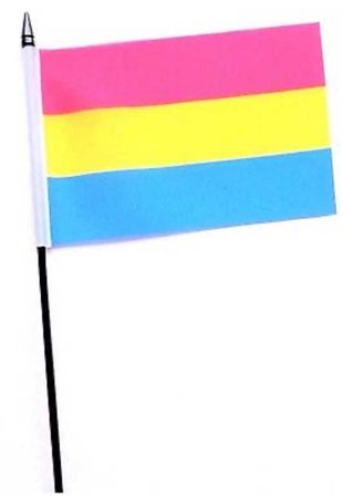 Pansexual Pride Small Hand Waving Flag