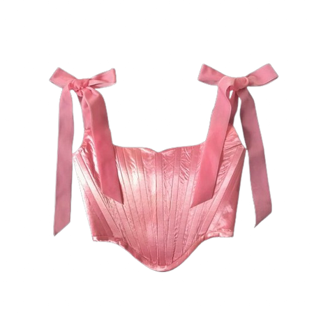 pink velvet corset top