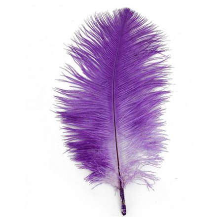 purple feather - Google Search