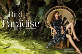 tropical editorial - Google Search