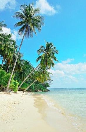 tropical getaway - Google Search