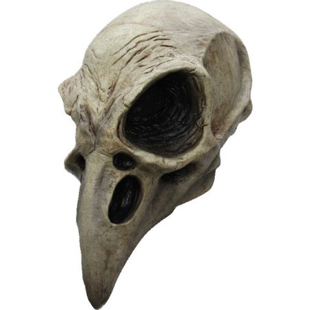 bird skull