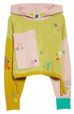 YanYan Curious Embroidered Colorblock Lambswool Crop Hooded Sweater | Nordstrom