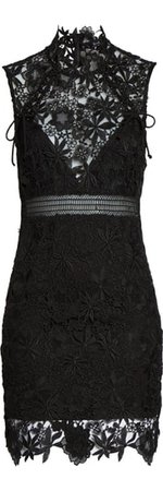Bardot Paris Lace Body-Con Dress | Nordstrom