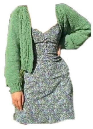 dress and green sweater