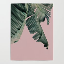 Banana Leaf Print