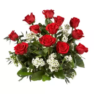 red roses cluster