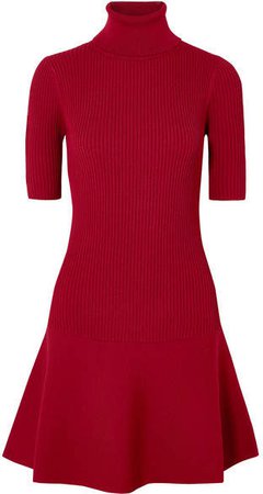 Ribbed Stretch-knit Turtleneck Mini Dress - Burgundy