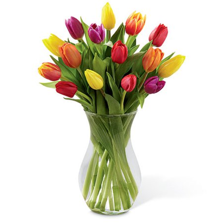 tulips pictures - Google Search