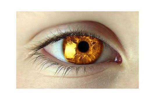Gold Eyes