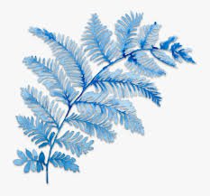 blue leaves png - Google Search