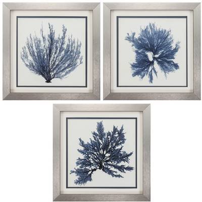 Beachcrest Home 'Wood Coral' 3 Piece Framed Graphic Art Set in Blue & Reviews | Wayfair