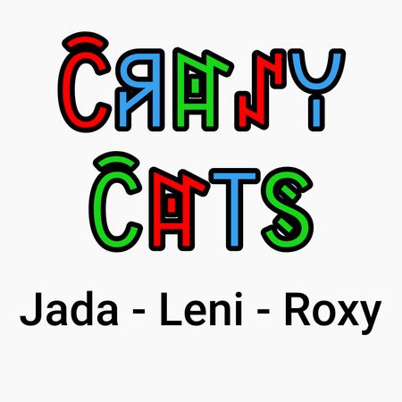 Crazy cats logo