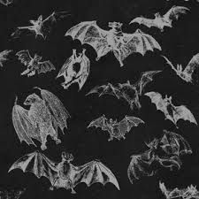 aesthetic bats - Google Search