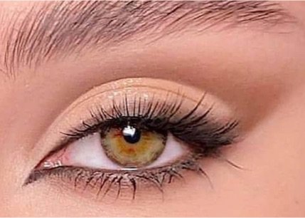 Natural brown eye makeup