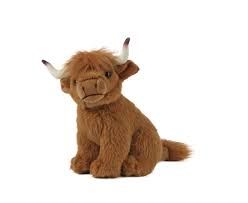 highland cow - Google Search