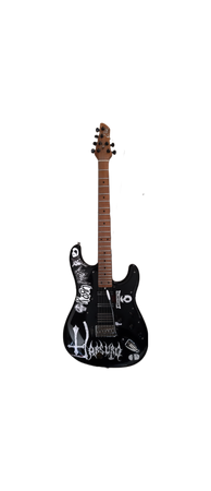 diego guitar custom