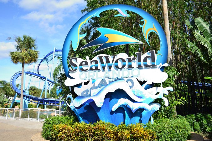 seaworld florida - Yahoo Image Search Results