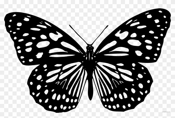 butterfly black white png