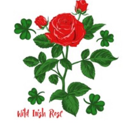 wild irish Rose png filler