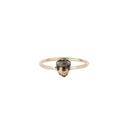 Acorn 14K Gold Symbol Ring - Pyrrha