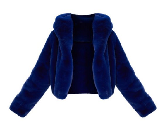 PLT Blue Fur Coat