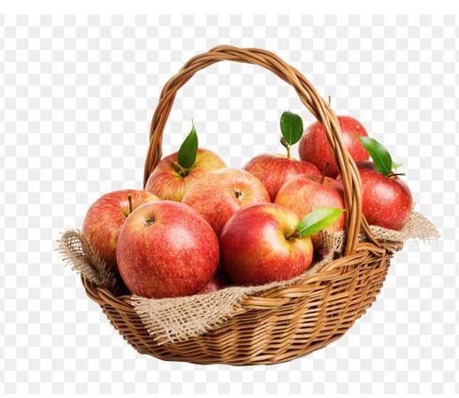 basket full of apples