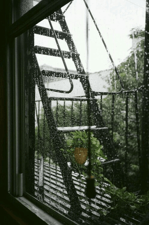 Image about photography in rain by Gulabsa🥀 on We Heart It