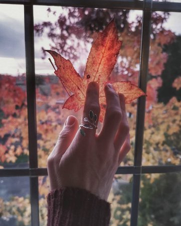 autumn fall aesthetic