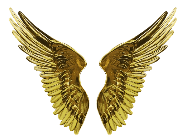 Angel Gold Wings PNG Cutout Image (Isolated-Objects) | Textures for Photoshop