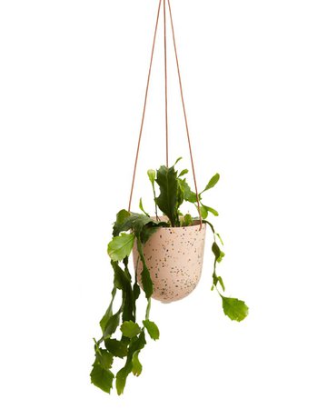 Terrazzo Hanging Pot - Salt by Capra Designs - planter - ban.do