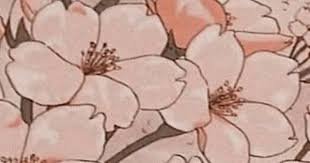 cherry blossom - Google Search