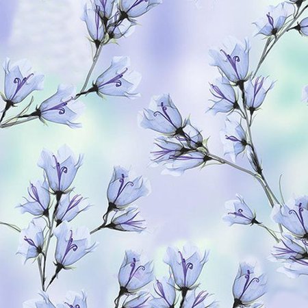 periwinkle background