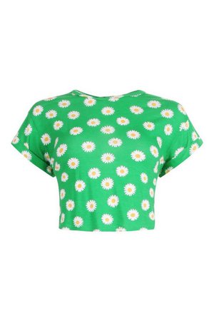 Daisy Print Basic Roll Sleeve Crop T-Shirt | boohoo