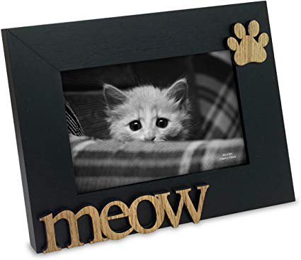Amazon.com - Isaac Jacobs Black Wood Sentiments Cat "Meow" Picture Frame, 4x6 inch, Photo Gift for Pet Cat, Kitten, Display on Tabletop, Desk (Black) -