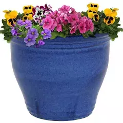 outdoor plants in ceramic pots - Google Search