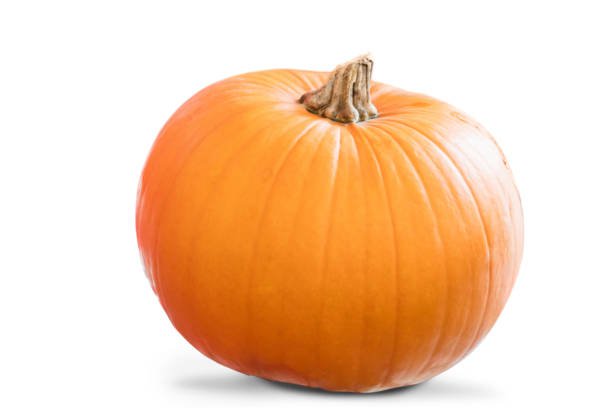 pumpkin white background - Google Search
