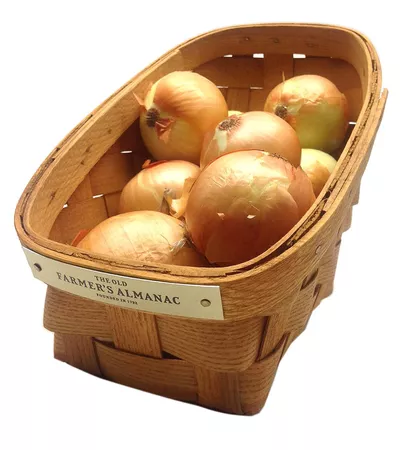 Slanted Kitchen Basket - The Old Farmer's General Store