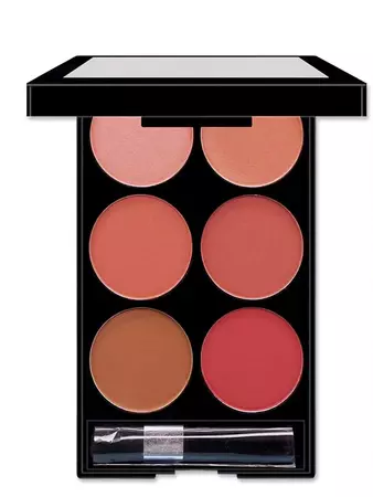 6-color Matte Blush Palette With Brush | SHEIN USA