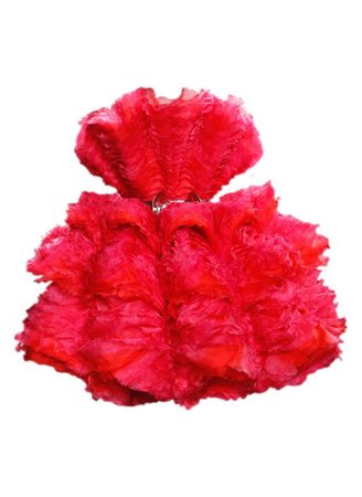 red hot pink ruffle poofy dress
