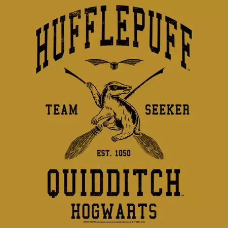 hufflepuff quidditch seeker - Google Search