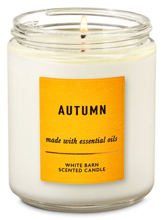 Autumn Single Wick Candle | Bath & Body Works