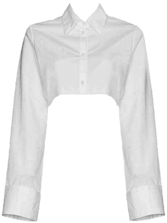 button cropped shirt blouse png