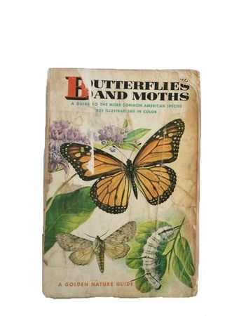 Butterflies and Moths book png