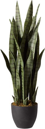 Nearly Natural 4855 Sansevieria Plant with Black Planter, Green: Amazon.ca: Home & Kitchen