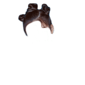 Dark brown Hair PNG Multiple Small Buns [2000's Hair 90's]