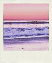 beach polaroid pictures - Google Search