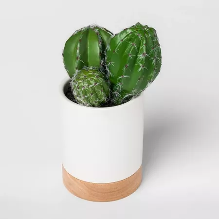 Faux Cactus Plant in White Pot Small - Project 62 : Target