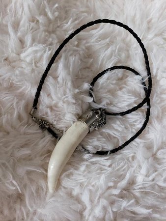 Large Genuine Alligator Tooth Necklace | Etsy