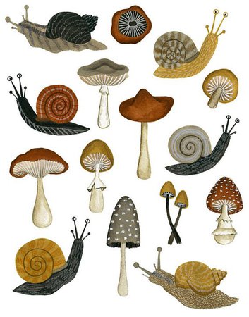 illustration snails mushroom